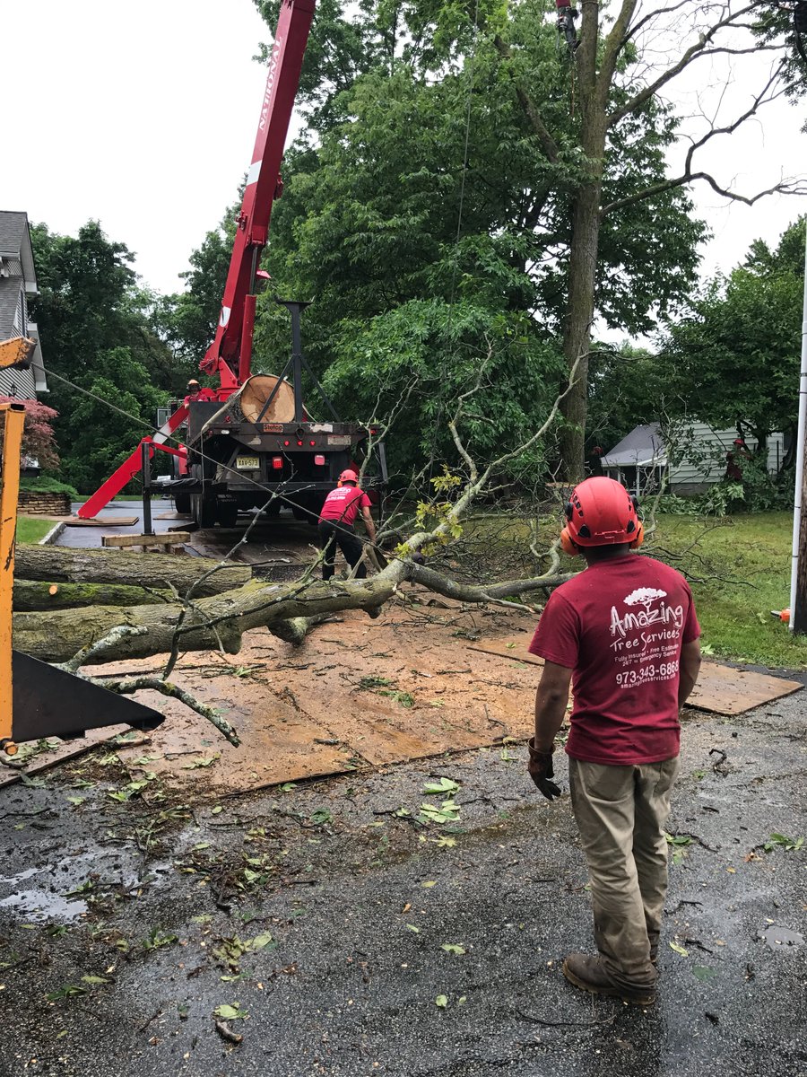 amazingtreesnj's tweet image. Tree Removal Service
To schedule a free estimate call us at (973)343-6868.

#TreeRemovalService #TreeRemovalServiceNJ #TreeRemoval #TreeRemovalExperts
atreeservicenj.com