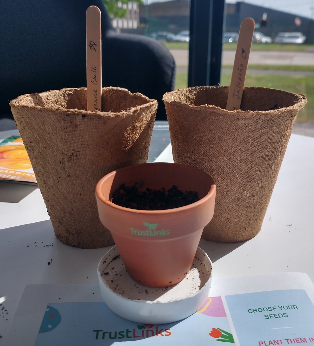 We've been busy growing Chilli plants to donate to our local charity @trustlinkscharity . Two weeks in and we're hoping to see some seedlings sprouting soon!🌱
Find out more about Trust Links here👇

trustlinks.org

#trustlinks #mentalhealth #transforminglives