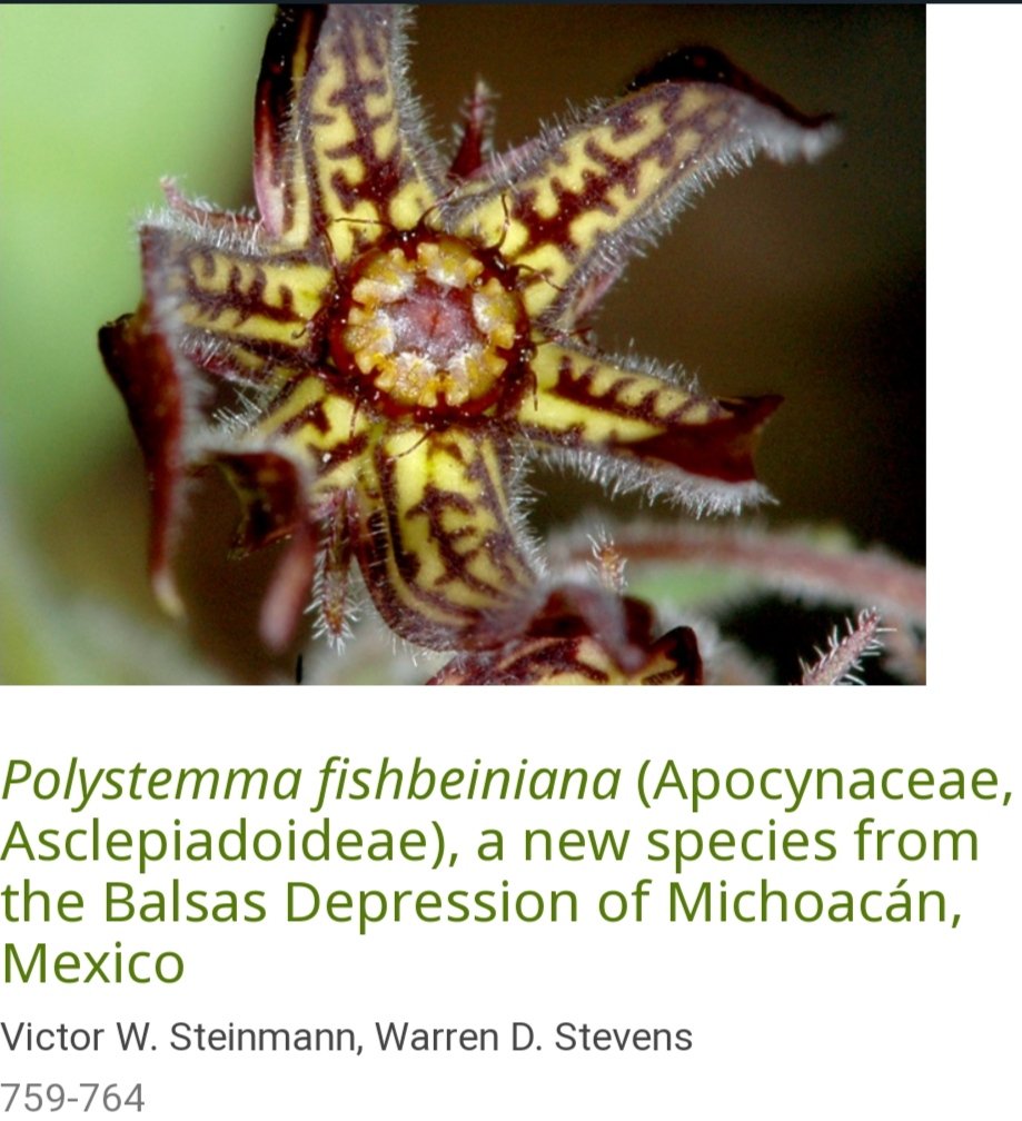 Nueva #Apocynaceae para #Michoacán, #México #botanicalscience
doi.org/10.17129/botsc…
