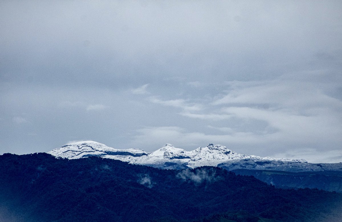 JuanitaJimenezB's tweet photo. Descripción gráfica del frió en Manizales https://t.co/5PzxKmneLl