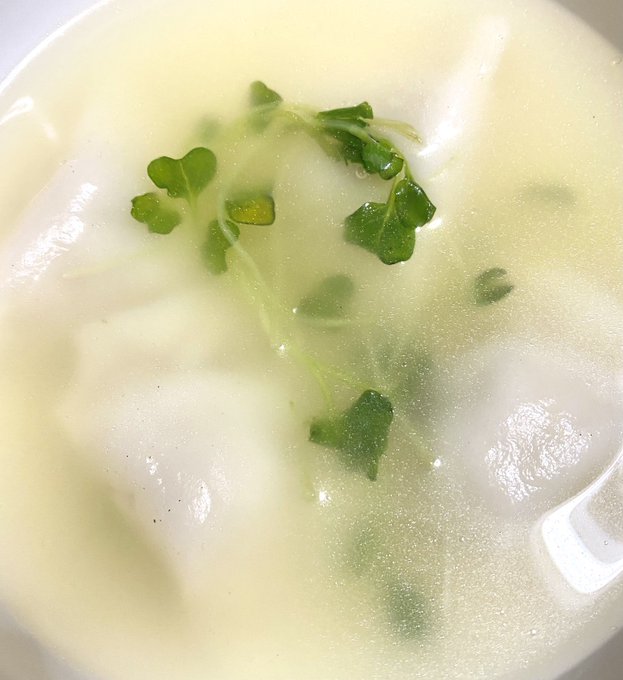 水餃子のtwitterイラスト検索結果