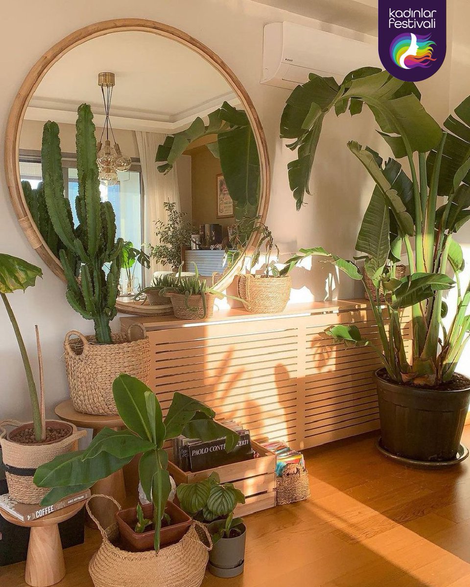 Bitki aşıkları buraya! 🌿💚

Bitki yetiştirmeyi ya da onlara sadece hayran hayran bakmayı sevenlerin takip etmesi gereken, ilham kaynağı olacak Instagram hesaplarını sizin için bir araya getirdik! 👇🏻

🌼 thejungalow
🌼 urbanjungleblog
🌼 houseofplantlovers
🌼 urbanjungleturkey