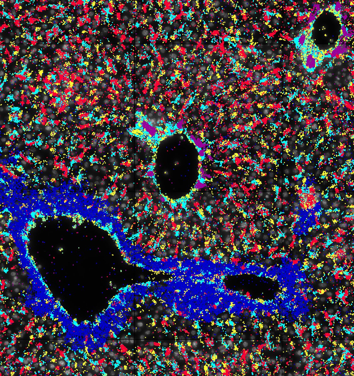 ResolveBioSci's tweet photo. It's here! We're thrilled to announce the official commercial launch of our #MolecularCartography workflow, which has been installed at @VIBLifeSciences @UCPH_Research @DKFZ &amp; @StanfordMed w/ exciting early results. Read all about it: https://t.co/Y6wf8yOUNq #AGBT22 https://t.co/0CUaSYQBRR