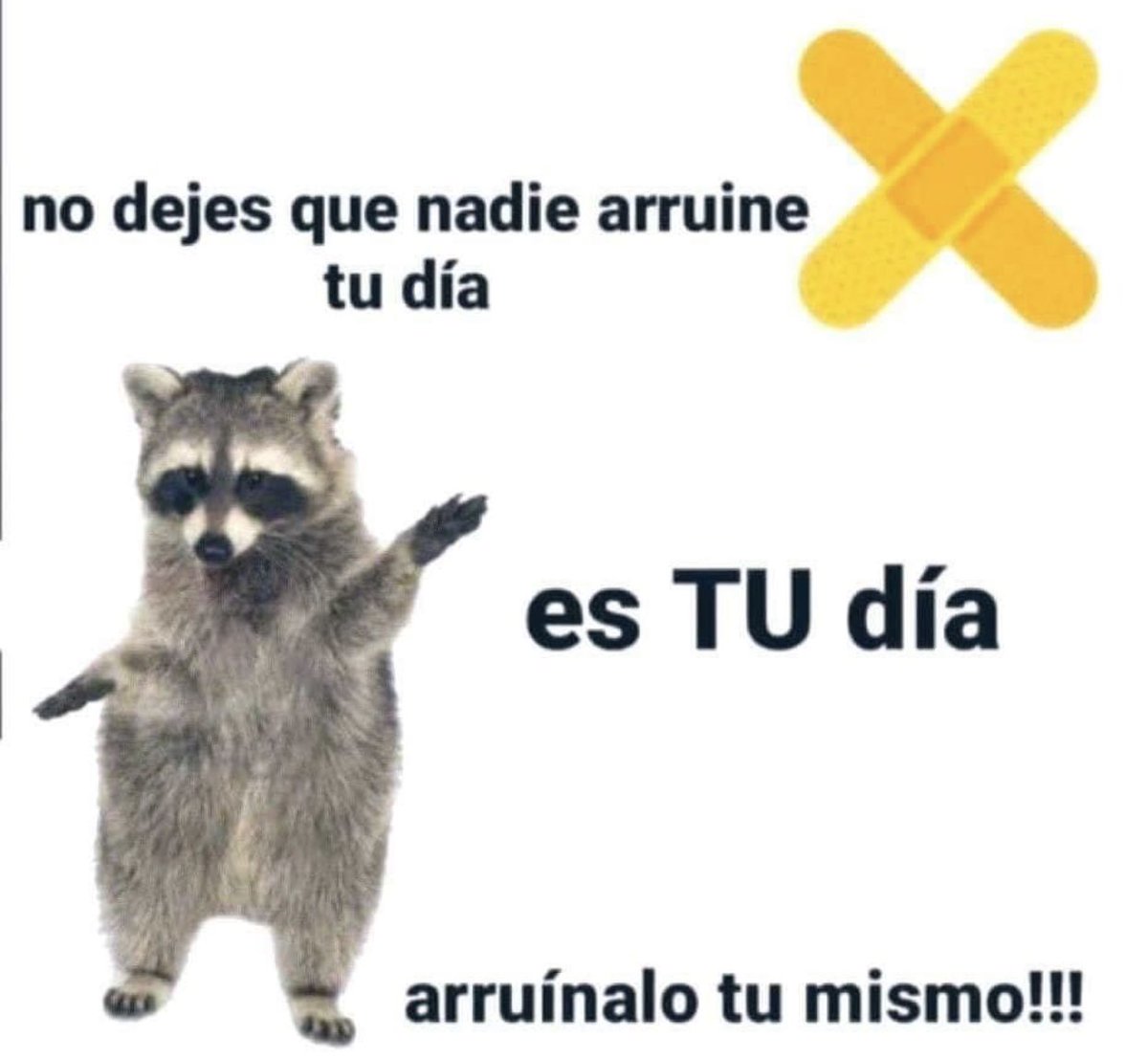 eli_rl's tweet image. Así mero!!