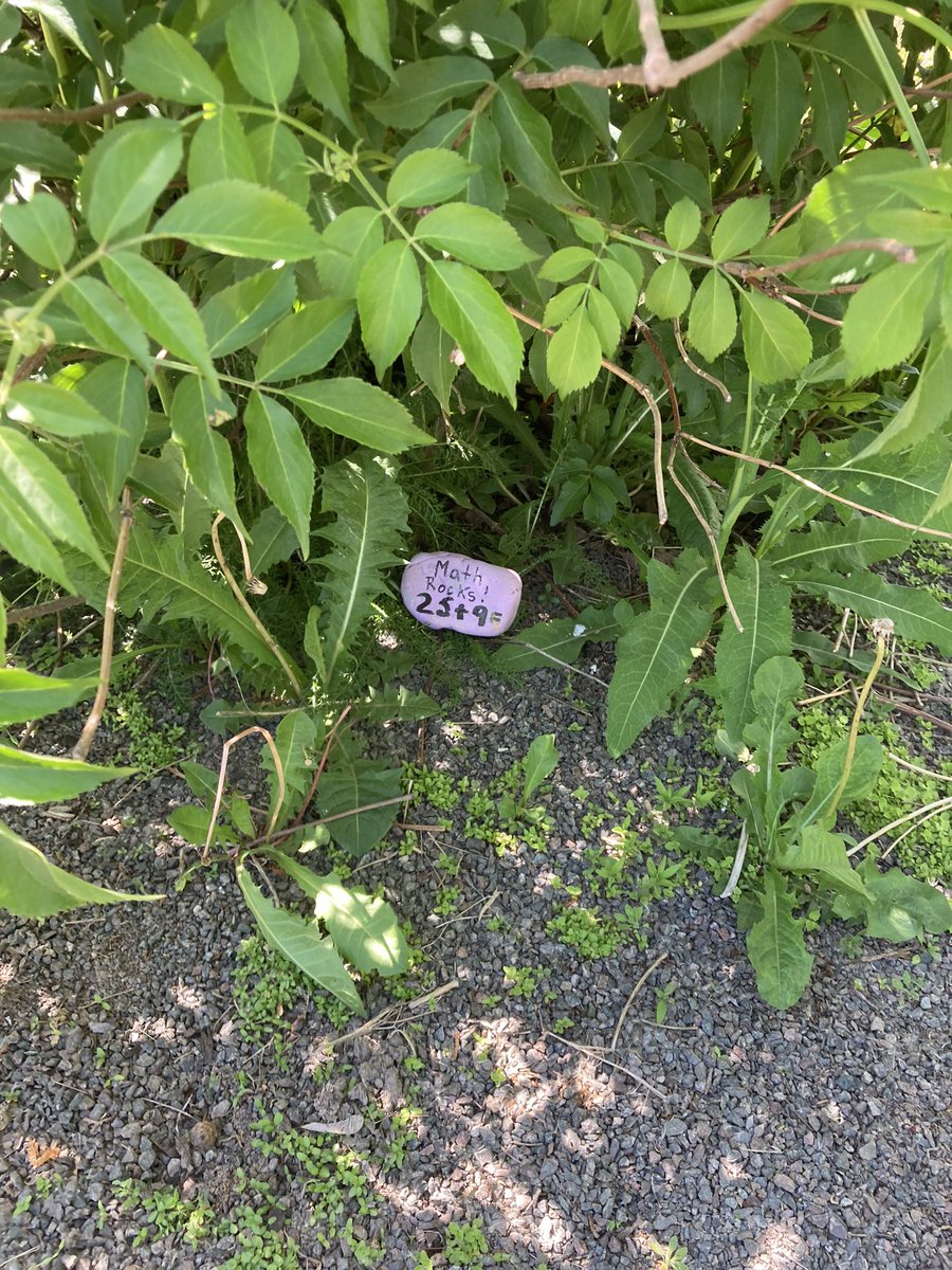 NickMattatall's tweet photo. Looking for a fun scavenger hunt to practice your mental math?  Come search for the “Math Rocks!” In the Bessborough Garden @AnglophoneEast @celine_gallien @HeatherWoodASDE @NewPedagogies https://t.co/y52Fg56Jw6