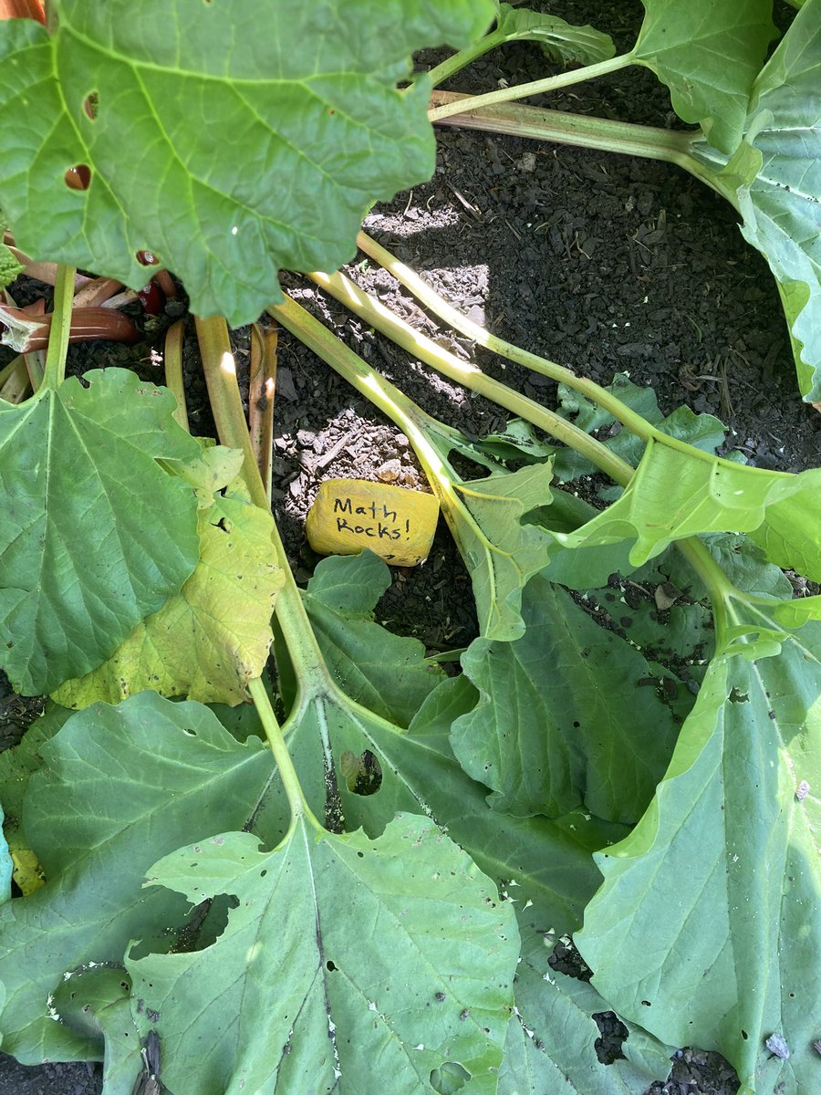 NickMattatall's tweet photo. Looking for a fun scavenger hunt to practice your mental math?  Come search for the “Math Rocks!” In the Bessborough Garden @AnglophoneEast @celine_gallien @HeatherWoodASDE @NewPedagogies https://t.co/y52Fg56Jw6