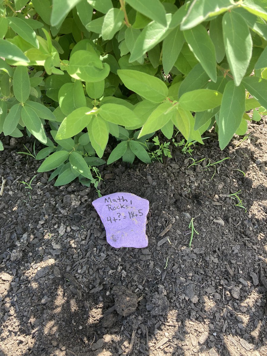 NickMattatall's tweet photo. Looking for a fun scavenger hunt to practice your mental math?  Come search for the “Math Rocks!” In the Bessborough Garden @AnglophoneEast @celine_gallien @HeatherWoodASDE @NewPedagogies https://t.co/y52Fg56Jw6