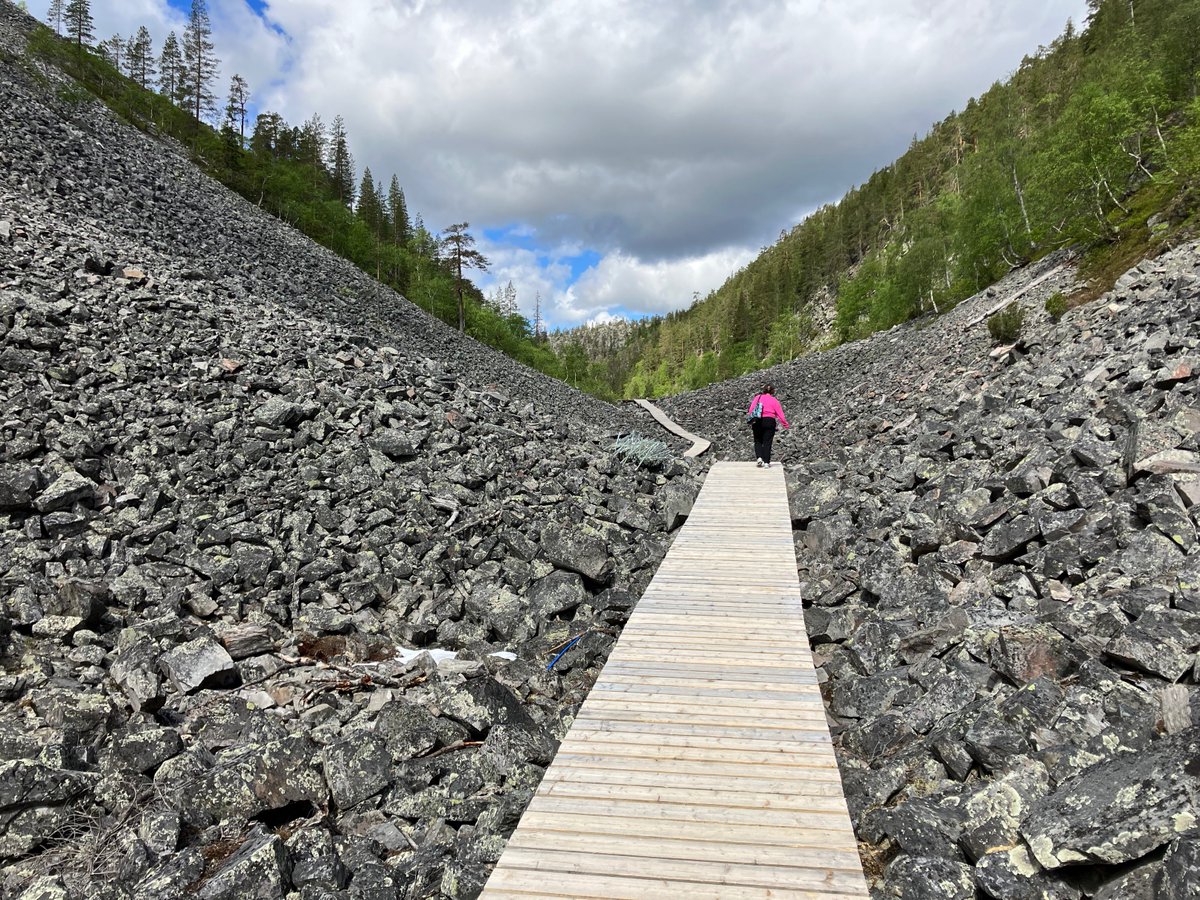 Day 3 - after a night train sleep, explored Pyhä-Luosto National Park in the #arcticcircle
Learned about glacial landscape features and the history of the area.
Tried reindeer, and saw reindeer! (we're pretty sure they were different reindeer😬)
#cehsisglobal @unl_cehs
<a href="/unltlte/">Teaching, Learning and Teacher Education</a>