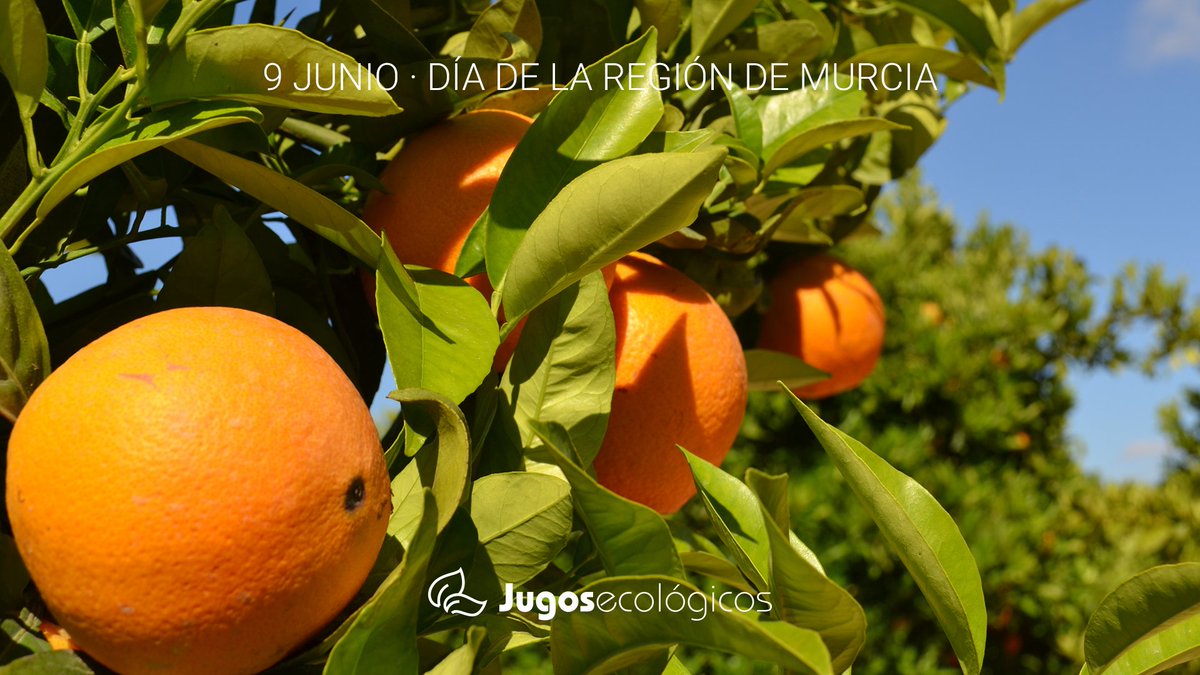 En el #DíaRegiónDeMurcia queremos recordar, un año más, el compromiso que en Jugos Ecológicos de Murcia tiene con nuestra tierra. Seguiremos trabajando la agricultura ecológica como una manera de entender la vida. 🌳♻😃