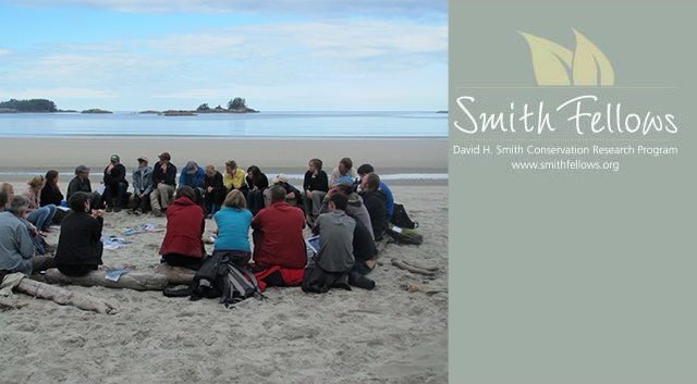 Smith Fellows tweet media