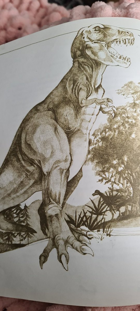 Humble_Halfling's tweet photo. T Rex had a 6 pack. I don't make the rules.

#absfordays #trex #paleontology https://t.co/GqYMKBdZDd