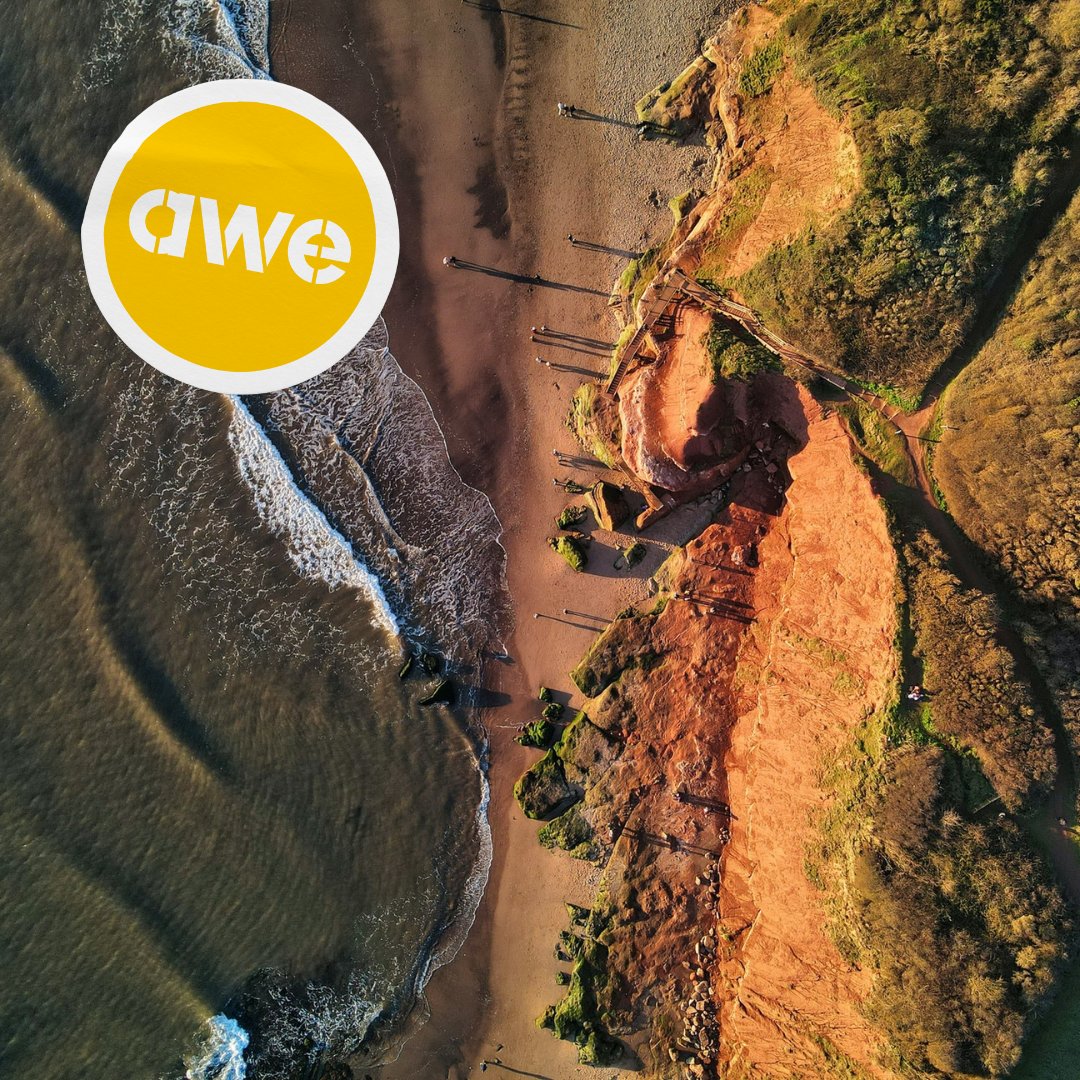 Devonstream tweet media