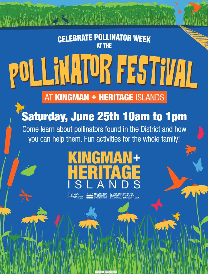 DOEE_DC's tweet photo. #PollinatorWeekInTheDistrict
Come out and share your love for pollinators 🦋this Saturday, June 25 from 10:00 am - 1:00 pm at Kingman and Heritage Islands.
This educational experience welcomes adults and children to learn about ways to protect pollinators. #pollinatorweek https://t.co/Qg2vW7K2gZ