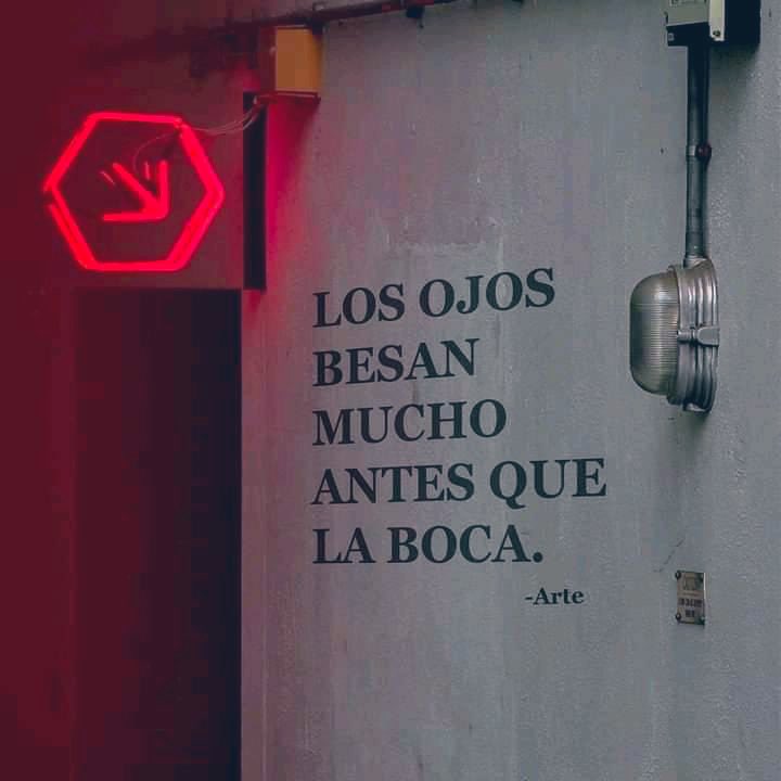 Cultura Literal (@culturaliteral1) on Twitter photo 