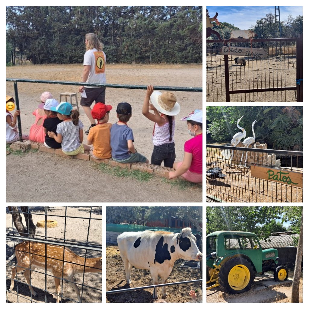 ceipcelsoemilio's tweet image. El lunes, todo infantil estuvo en la @GranjaELALAMO donde vieron muchos animales, estuvieron en contacto con la naturaleza y se lo pasaron en grande. #excursionesmolonas #naturaleza🍃