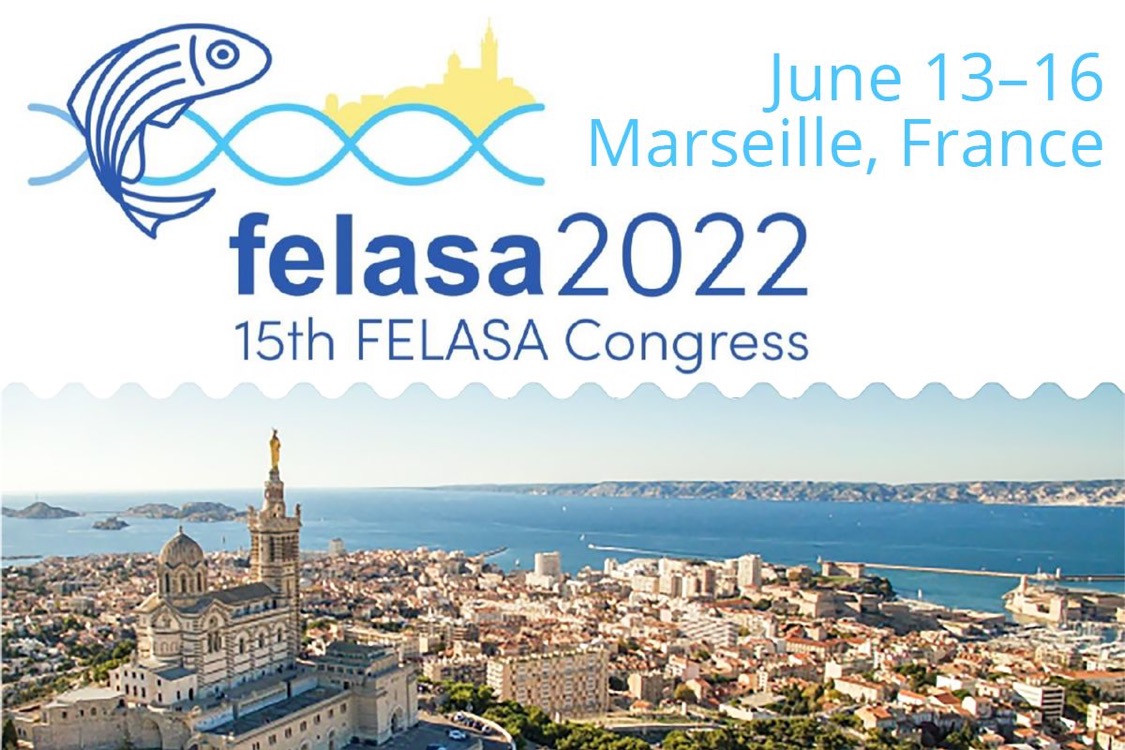 daniolabs's tweet photo. Looking forward to #FELASA2022 Congress in Marseille, France next week! Danio Lab will have our new #Zebrafish housing systems, tanks and much more on display. Come by booth 3 to meet and learn more. https://t.co/FDJkpuVr9D