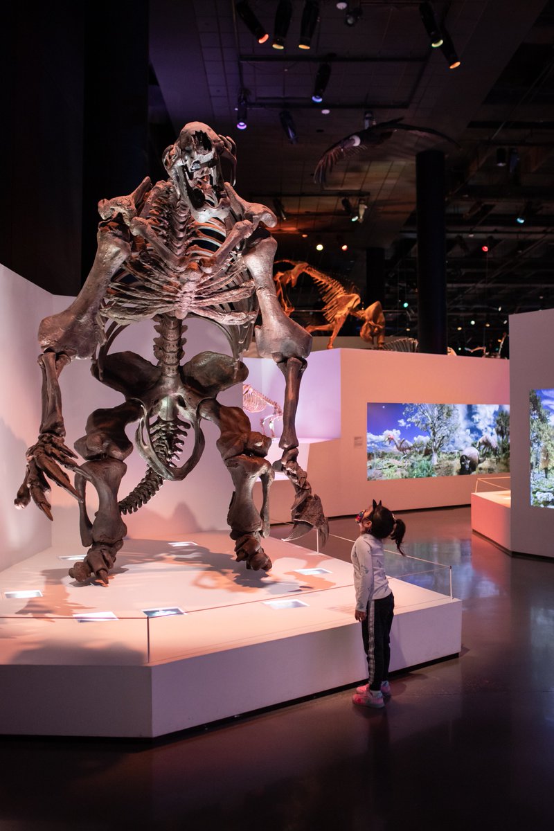 hmns's tweet photo. Happy #FreeThursday to all who celebrate.
Our permanent exhibitions are free today from 5pm to 8pm. Beat the heat with us.
😎😎😎
VISIT: https://t.co/AmOW8SAqF7 https://t.co/ePl3u9OoeU