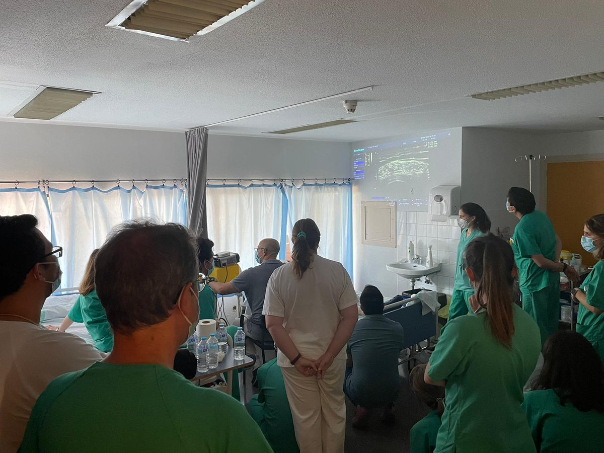 Geriatría Guadalajara tweet media