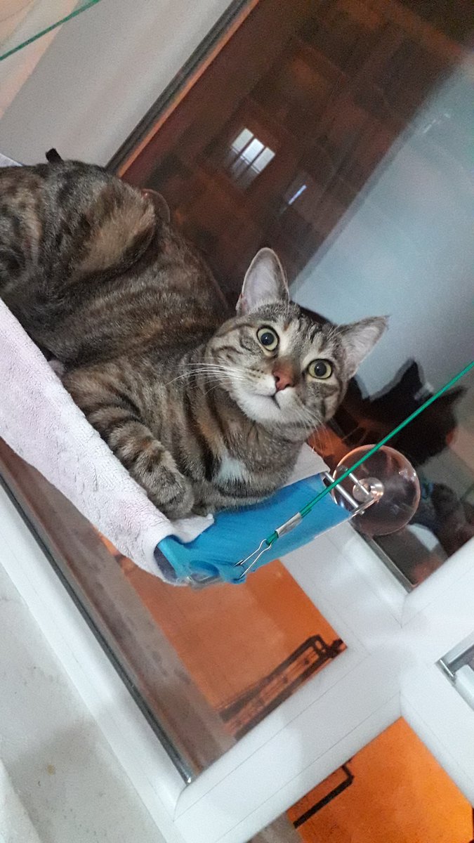 duvardaki neymiş Diiii