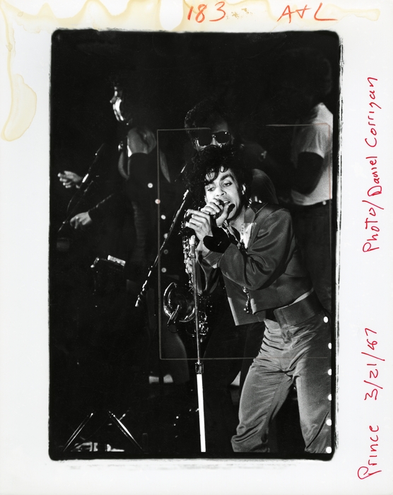 💜🕊 Happy Birthday, Prince 💜🕊