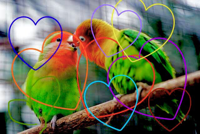 本田淳😇😇😇😇😇😇 ♺ 😈🤝😇🐶🌪🌪🌪🌪🌪🌪🌪💕💕 (@pink7punk7panda