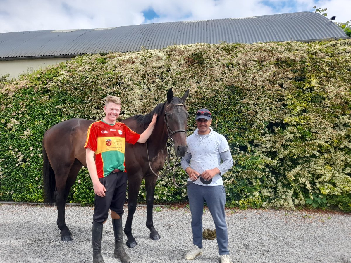 WillieMullinsNH's tweet photo. #AlBoumPhoto &amp; #Melon retired today. Fantastic horses for Marie &amp; Joe Donnelly and our yard. Al Boum Photo gave us two @CheltenhamRaces Gold Cups which was very special and Melon was such a consistent performer. We wish them all the best in their new eventing careers https://t.co/oZcwkvbaGq
