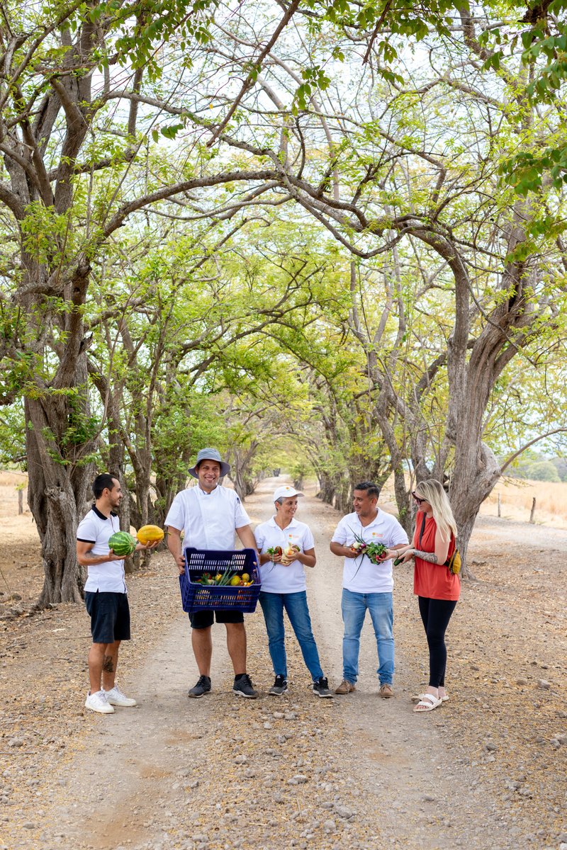For Andaz Costa Rica our local communities are part of our team. Enjoy a private dinner at night with one of our chefs with the produce you picked at the farms. Learn where your food is coming from and contribute to these families to keep growing the farms and businesses.