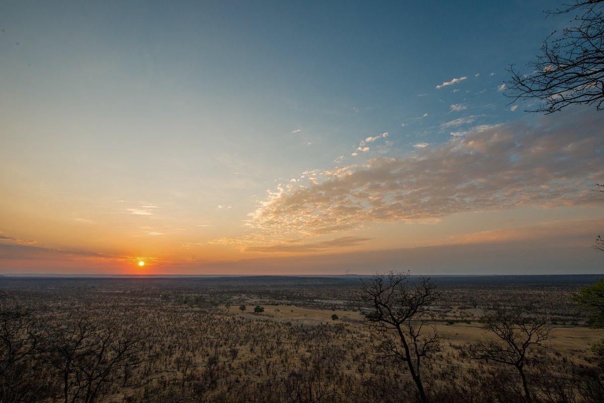 Zimparks's tweet photo. Mana Pools National Park will leave you breathless with its beauty. It is a paradise for walking, canoeing safaris, a wildlife-rich and biodiverse wonderland that will delight at every turn.
#VisitManaPools
#daretotravel
#traveller
#localtourism
#manapools
#inharmonywithnature https://t.co/K99GpUriv5
