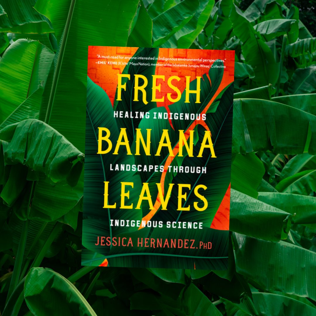 scennetwork1's tweet photo. It’s #BookwormTuesday, and we’re spotlighting “Fresh Banana Leaves” by Jessica Hernandez, an Indigenous scientist. She breaks down why western conservationism isn’t working and shares Indigenous models informed by personal stories, case studies, and family histories.
#Indigenous https://t.co/sIxENzkxgI