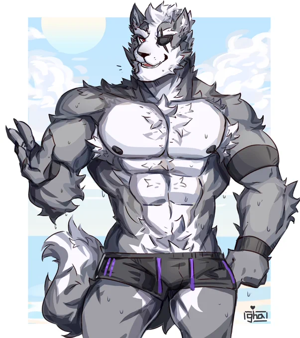 wolf notices you at the beach 