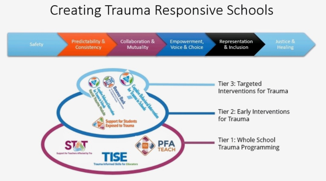 Center For Safe & Resilient Schools and Workplaces tweet media