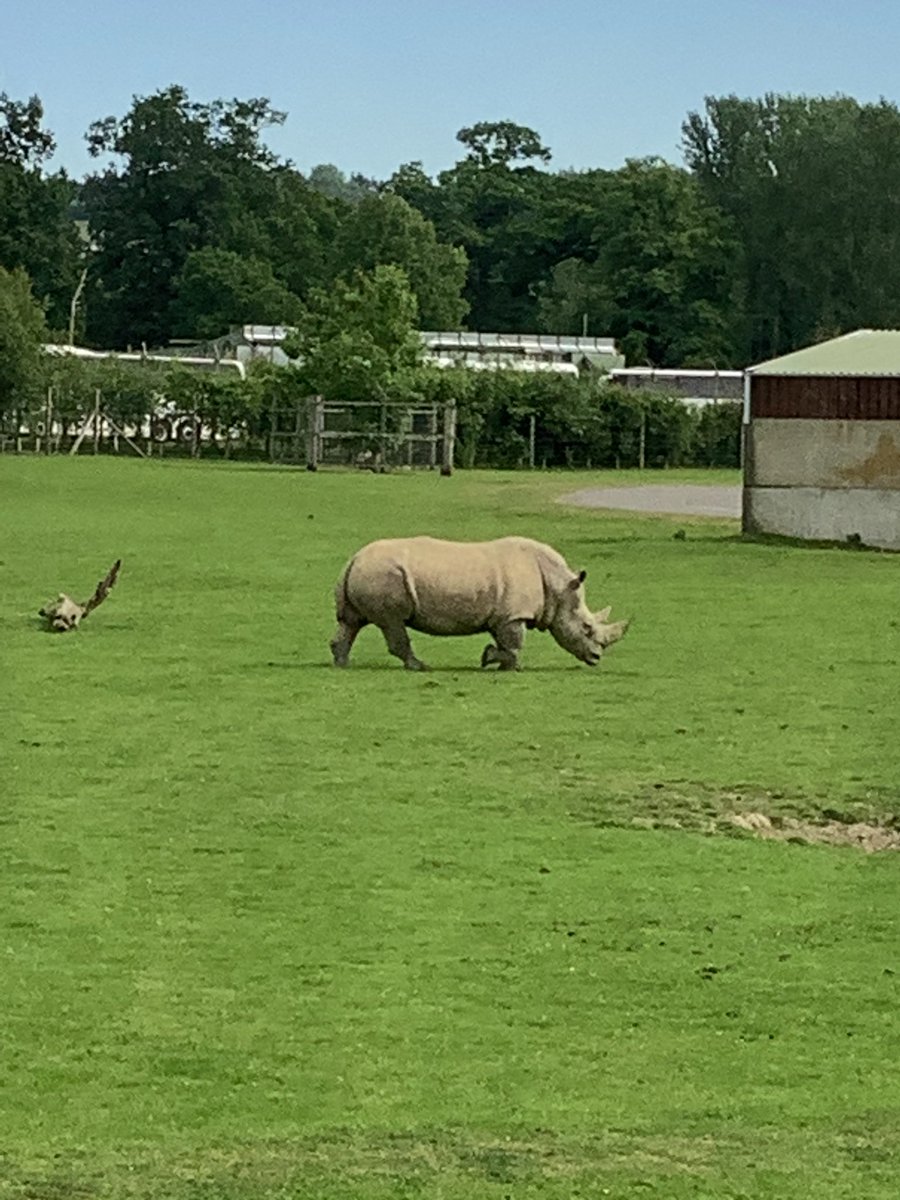 P5MMorayPS tweet media