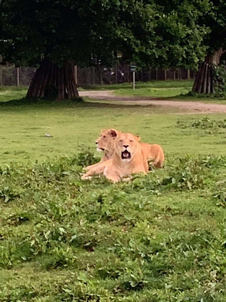 P5MMorayPS tweet media