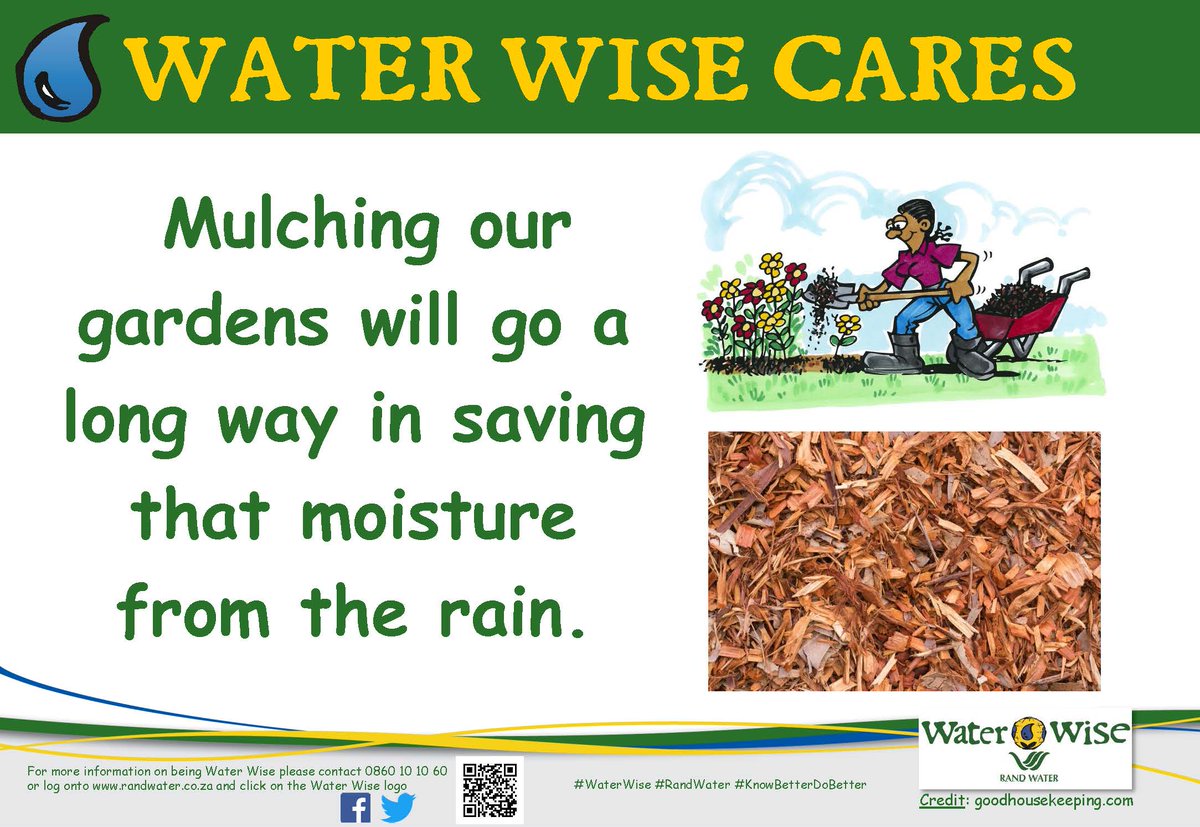 Water Wise tweet media