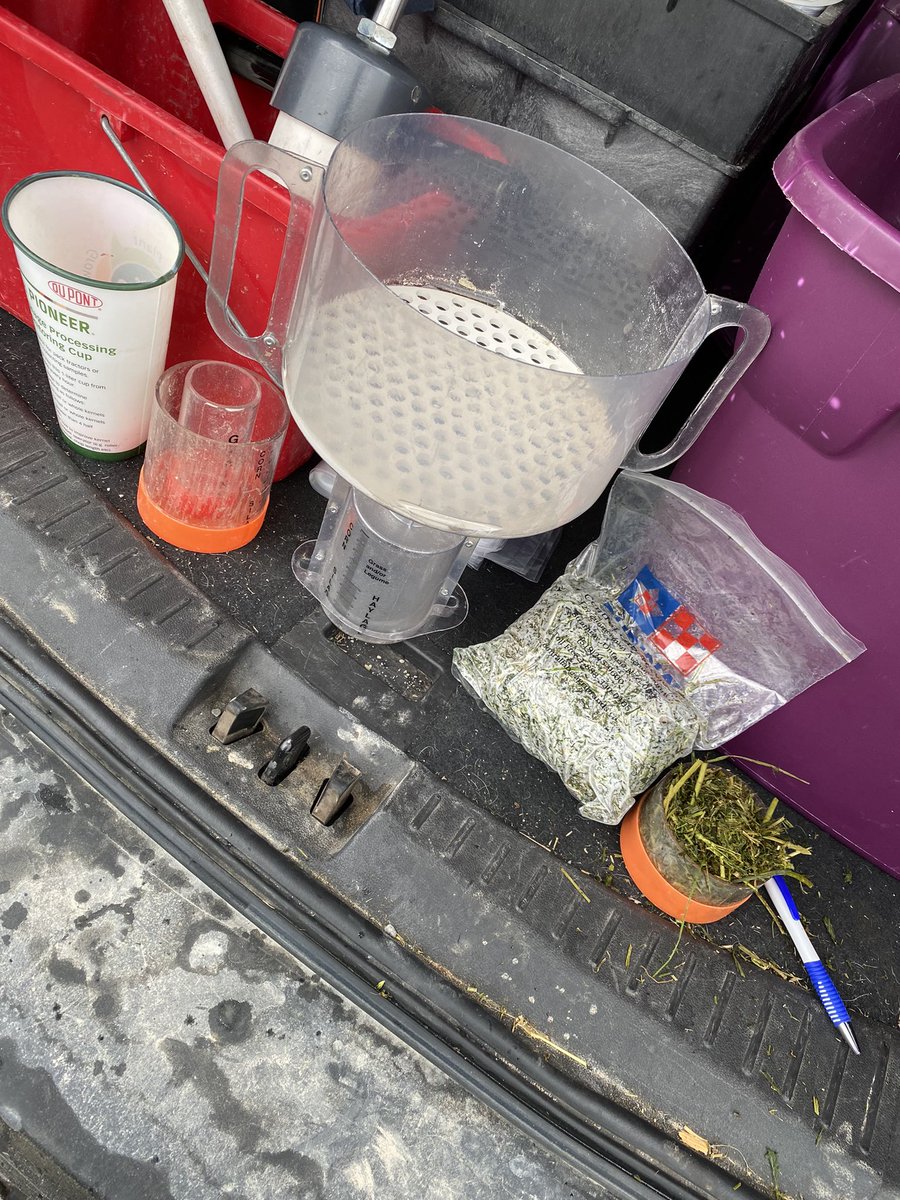 Checking chop length today on 1st cut samples. TLC goals of 3/8- 1/2”. We don’t see the consistency on #haylage like we do in corn silage with maturity ranges on grasses. This helps me as a #Nutritionist follow how quickly a cow can digest the feed. #PurinaProactiv