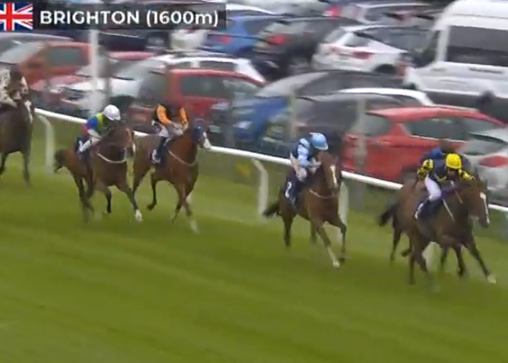 club_irc's tweet photo. GUN DOG GETS FOURTH
Gun Dog earned his first stake for us in the 330 at Brighton, plugging on in fourth. He is showing improvement, ran well. Join our club of happy owners! @AWCarrollracing @mollie_phillip
https://t.co/3gnA9sWdAb #clubirc #ircrunners #tonycarroll #molliephillips https://t.co/mh7jCOTKm2