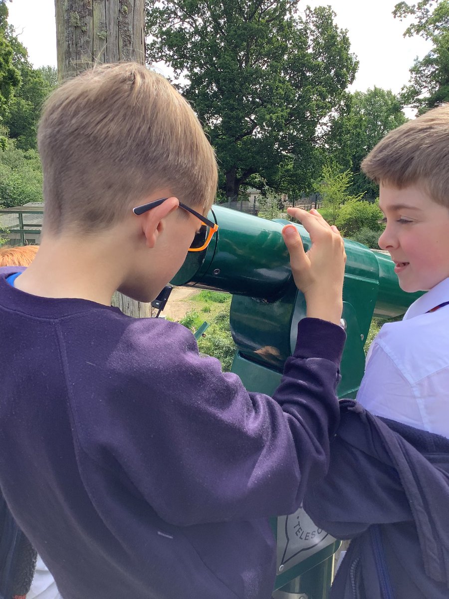 P5MMorayPS tweet media