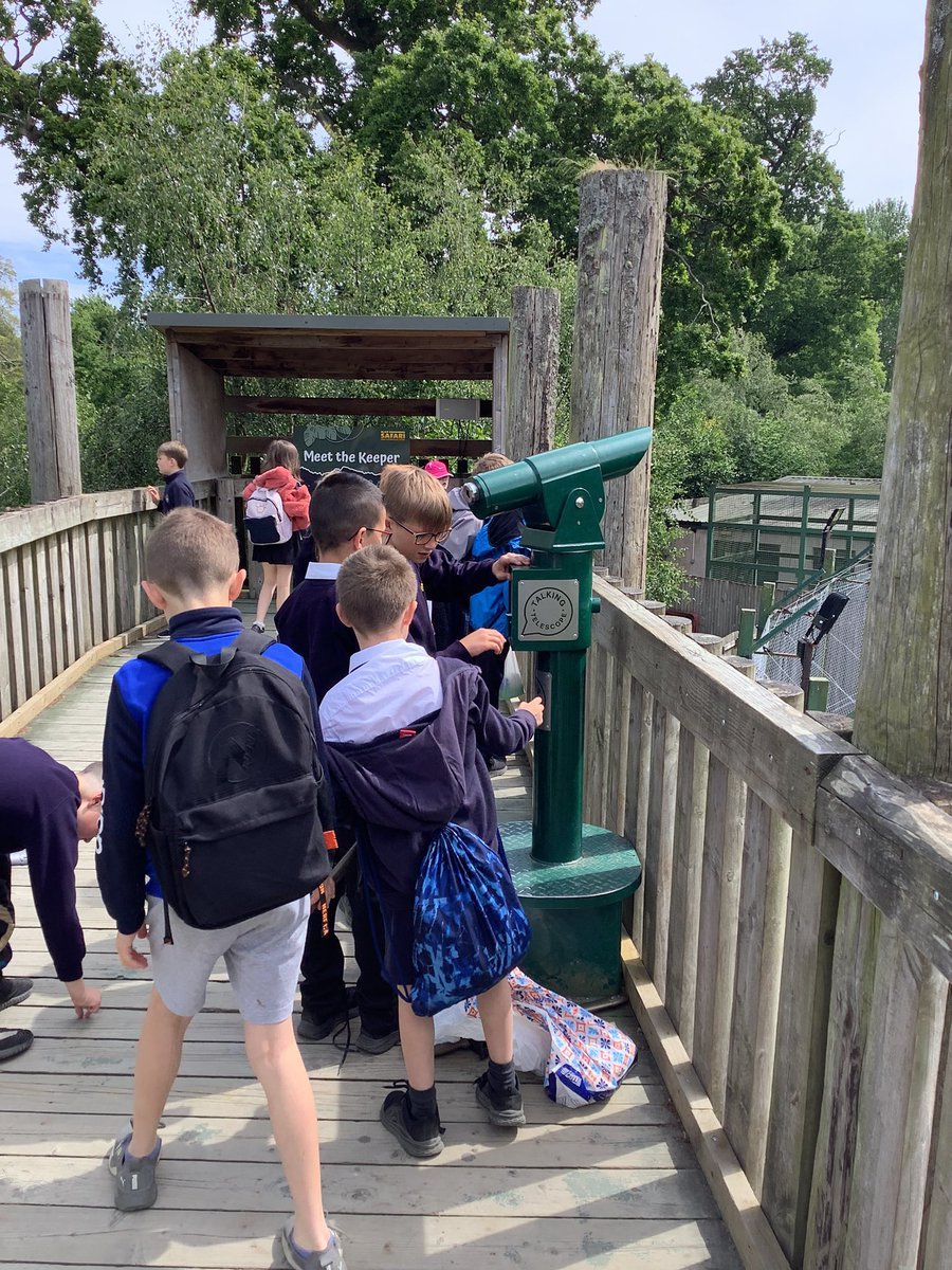 P5MMorayPS tweet media