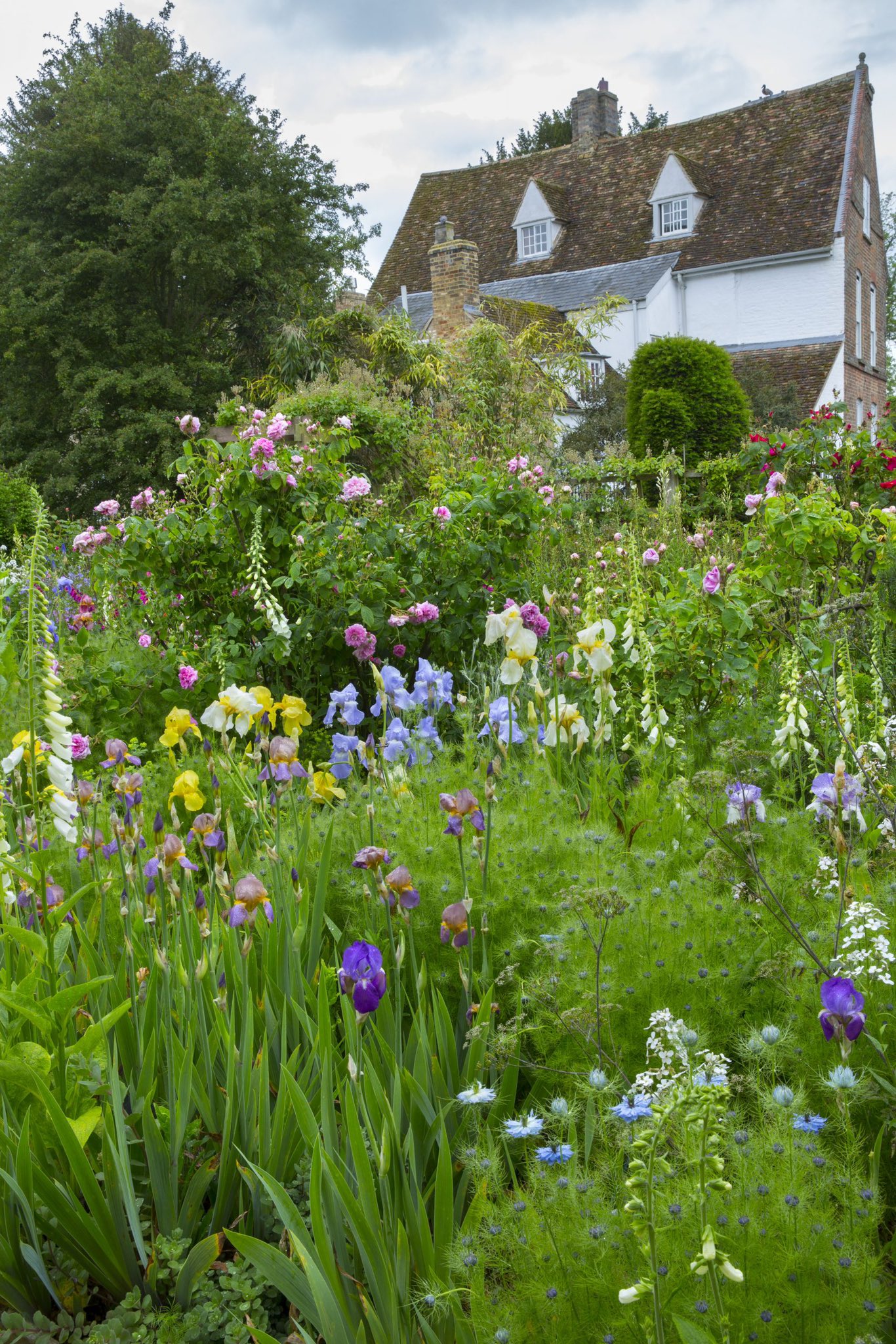 National Garden scheme Cambs on Twitter "The Manor, Hemingford Grey