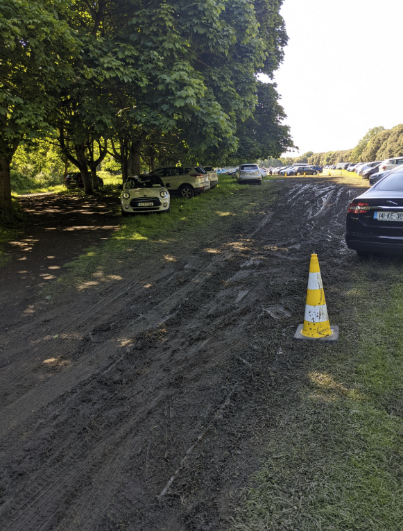 andrejhosna's tweet photo. @LordMayorDublin @DubCityCouncil @phoenixparkopw Care to explain how this is all right, while slack-lining is prohibited in the park with this reason: “No person shall destroy or injure any tree, shrub, or plant growing in the Park... (Phoenix Park bye-law section 9.3)." ? https://t.co/6B6HjCuiJL