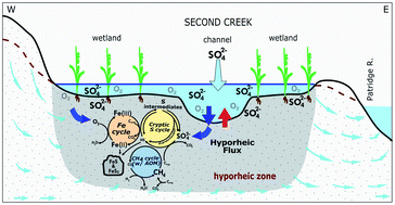 biominerals's tweet photo. Cryptic S cycling has a big impact on Fe and methane fluxes! Check out our new "Hydrobiogechemical interactions in the hyporheic zone of a sulfate-impacted, freshwater stream and riparian wetland ecosystem" in Environmental Science: Processes &amp; Impacts https://t.co/U5qLQti1F7 https://t.co/FF1PhfDWTI