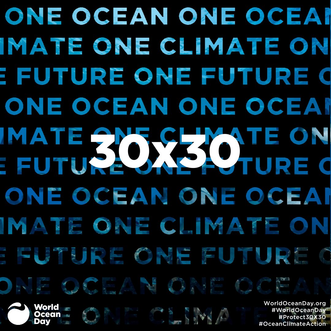 Make a difference for this #WorldOceanDay and use your voice for our ocean. Sign on to urge world leaders to protect at least 30% of our planet’s lands, waters, and ocean by 2030. Sign the petition now: buff.ly/3atn7xe