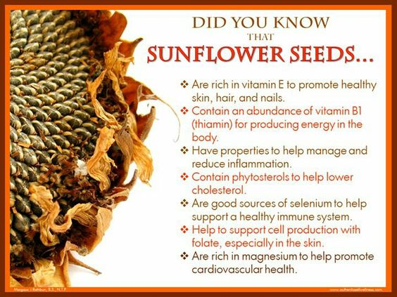VegansFriendApp's tweet photo. Sunflower Seed Butter is a delicious way to enjoy the benefits of Sunflower Seeds. We enjoy adding a tablespoon to our favourite morning smoothies 🧉 https://t.co/zkPdpVb8bK