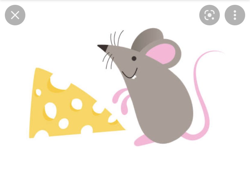 rowan 🦇 tweet media