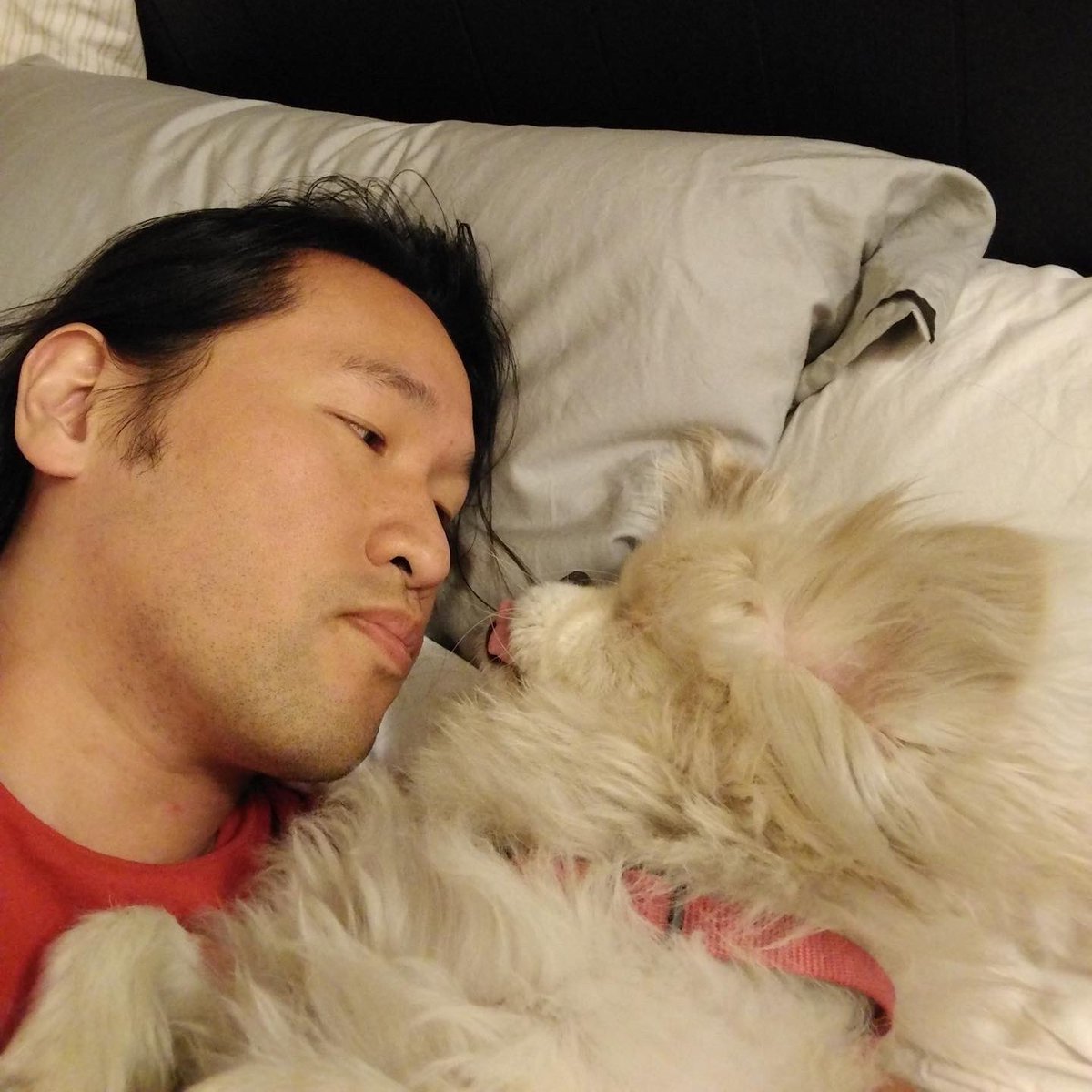 Herman Li tweet media