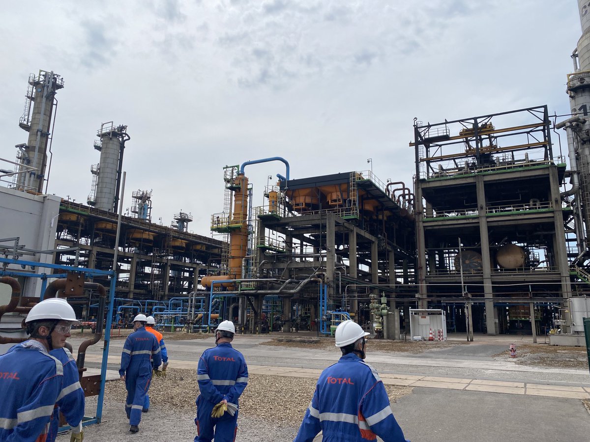 Franck GIULIANI tweet media