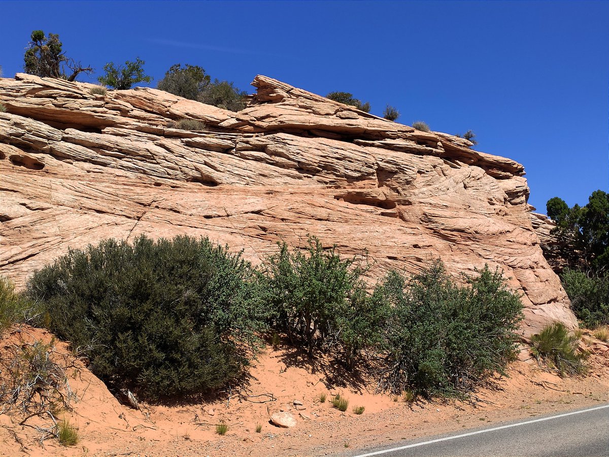 seismic_al's tweet photo. Day 6 of the #BookCliffs trip. Amazing large-scale aeolian cross bedding in the Navajo and Wingate Cretaceous sandstones and astonishing views in the Canyonlands and the Arches National Parks. Utah has it all! https://t.co/OgxMDIngox
