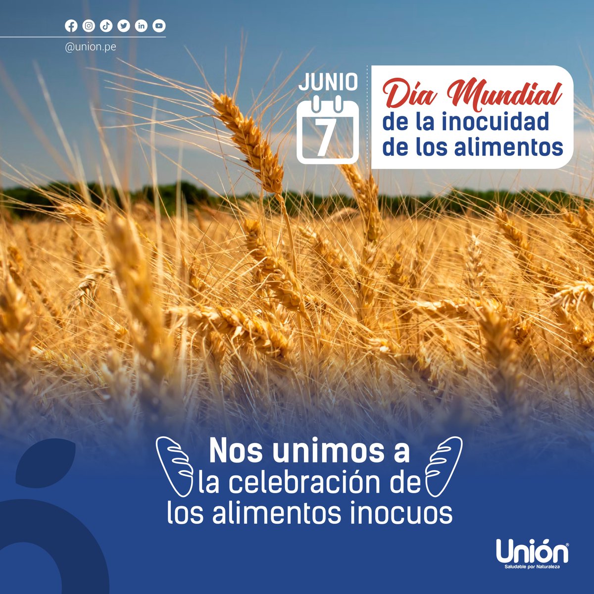 union_pe's tweet photo. Feliz Día Mundial de la Inocuidad de los Alimentos, su objetivo es inspirar acciones para ayudar a prevenir, detectar los riesgos transmitidos por los alimentos, contribuyendo la seguridad alimentaria y la salud humana.
“La inocuidad de los alimentos, un asunto de todos” https://t.co/Wa9DAwHK5D