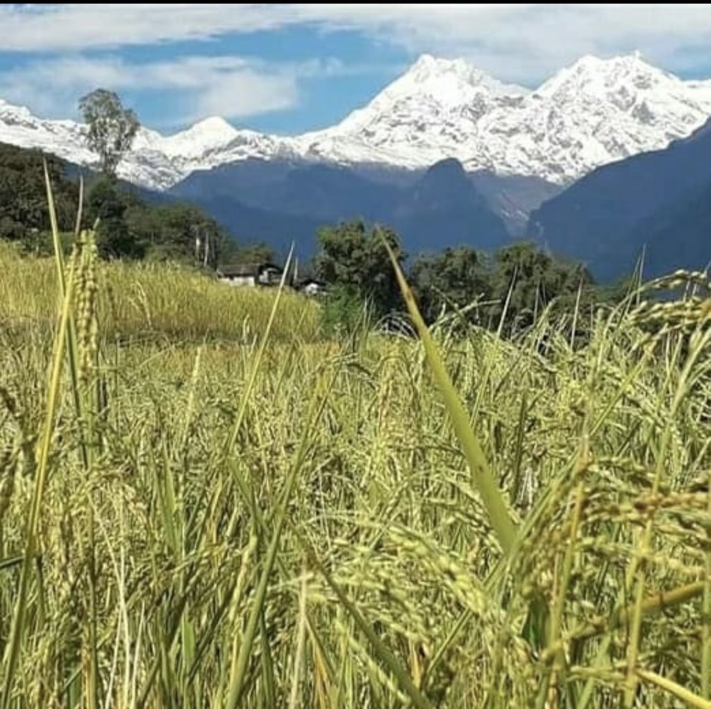 TourismSikkim tweet picture