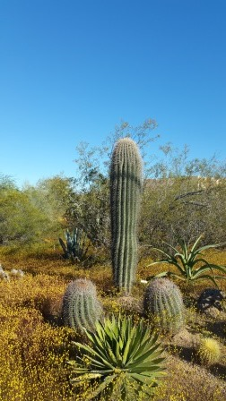 Sometimes nature offers some great cheeky photo ops!